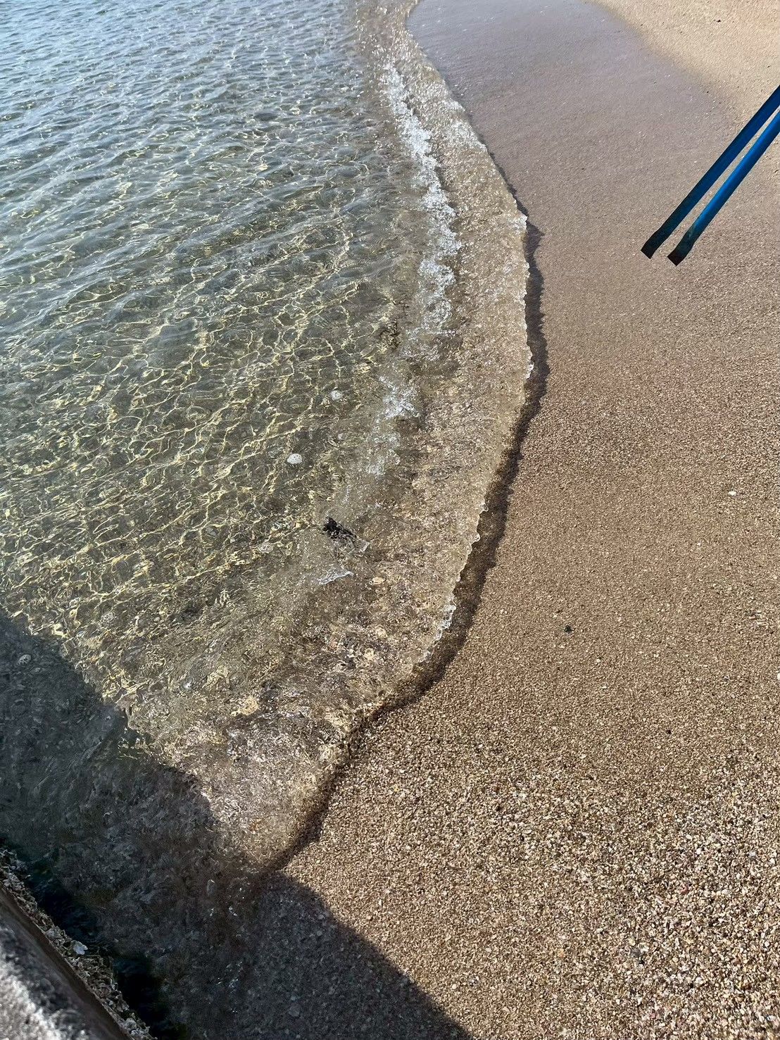 透き通った波が寄せる須磨海岸の波打ち際