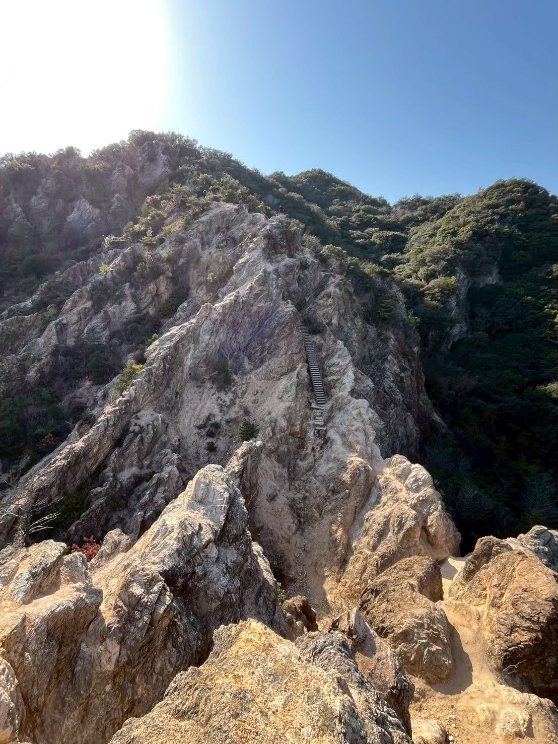 須磨アルプス「馬の背」ハイキング⛰ 帰りは須磨海岸へ
